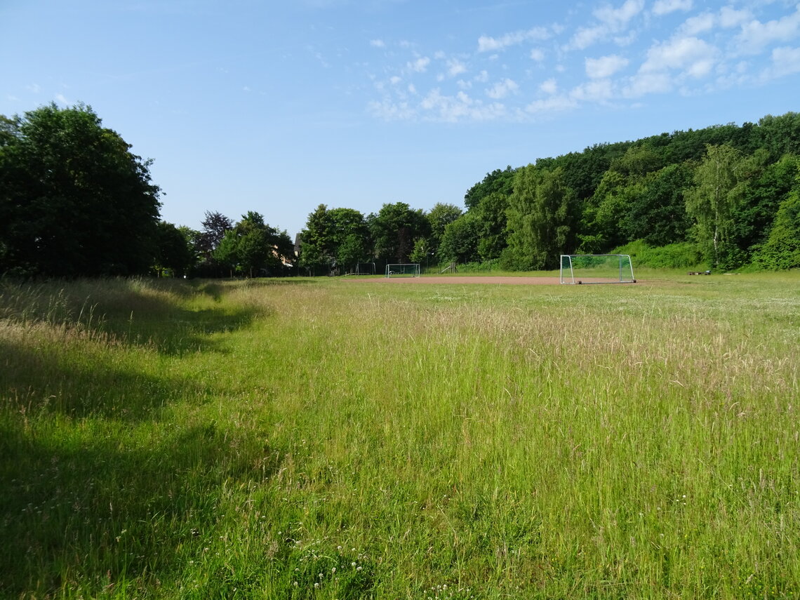 DSC00016_1.jpg
