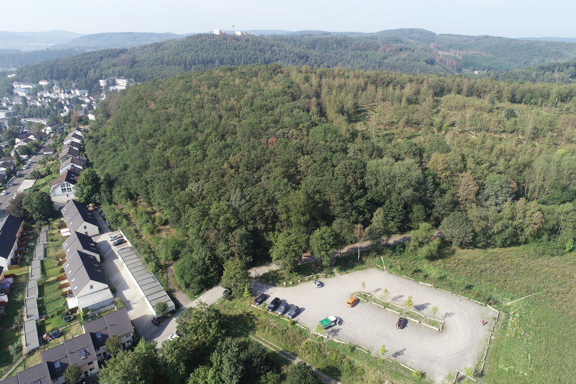 DJI_0051.JPG