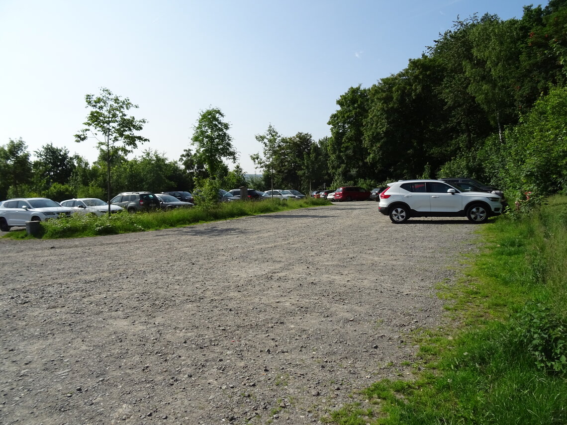 DSC00027_1.jpg