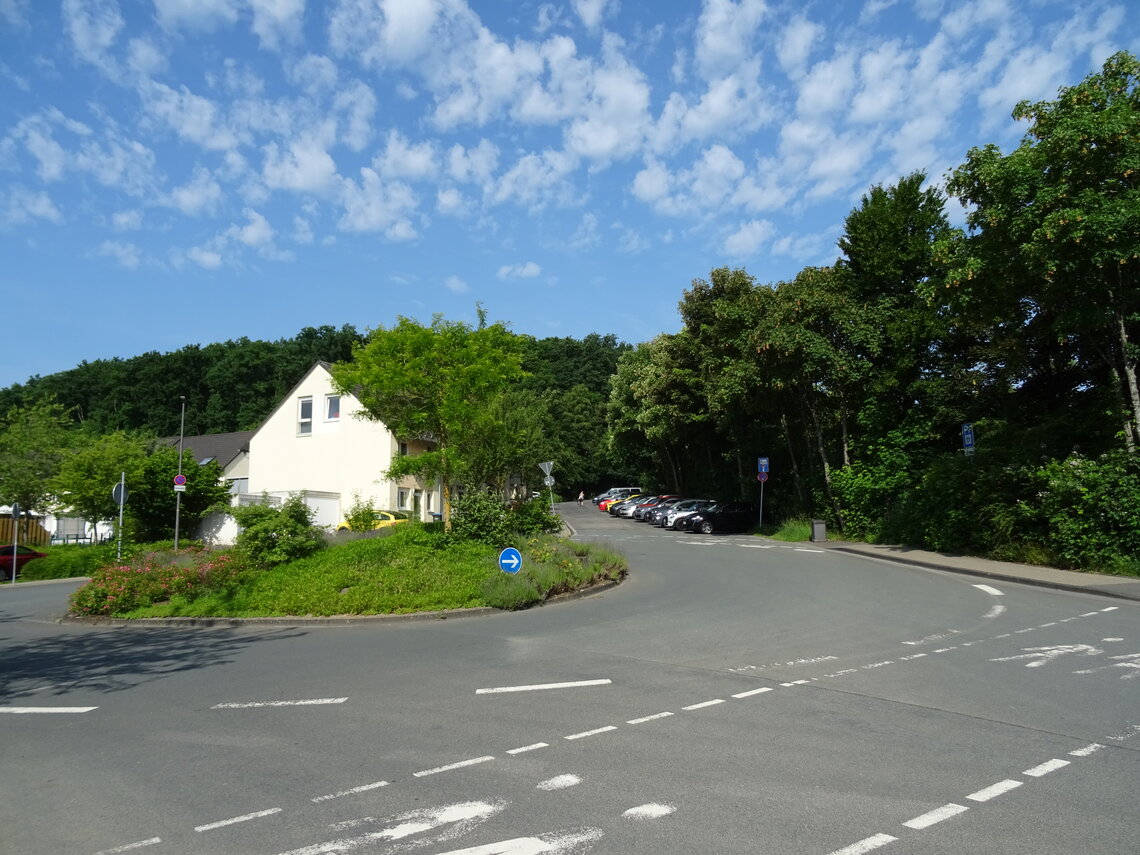 DSC00037_1.jpg