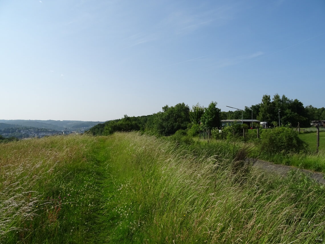 DSC00071_1.jpg